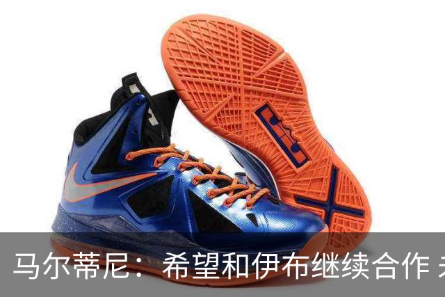 马尔蒂尼：希望和伊布继续合作 未和凯西达成一致