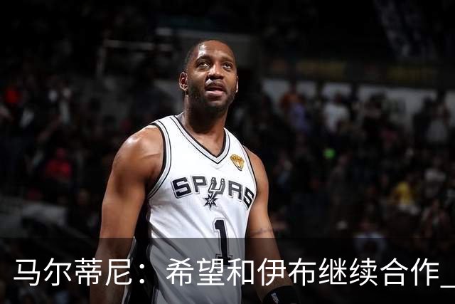 马尔蒂尼：希望和伊布继续合作 未和凯西达成一致